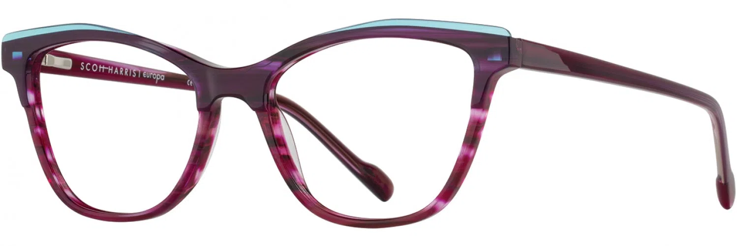Scott Harris SH888 Eyeglasses - view 9